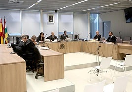 La vista celebrada este martes en la Audiencia Provincial.