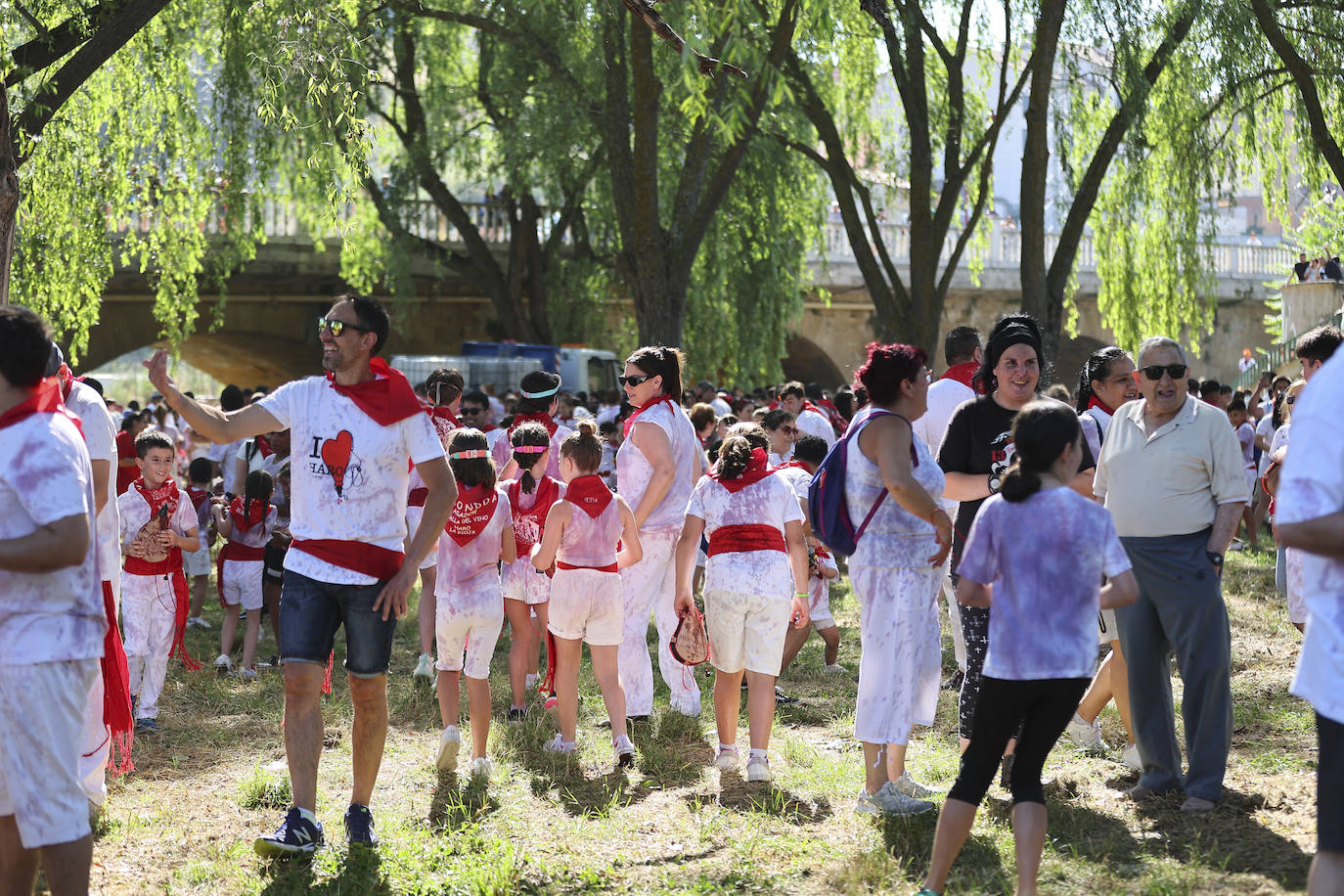 Las imágenes de la Batalla del Vino Infantil de Haro