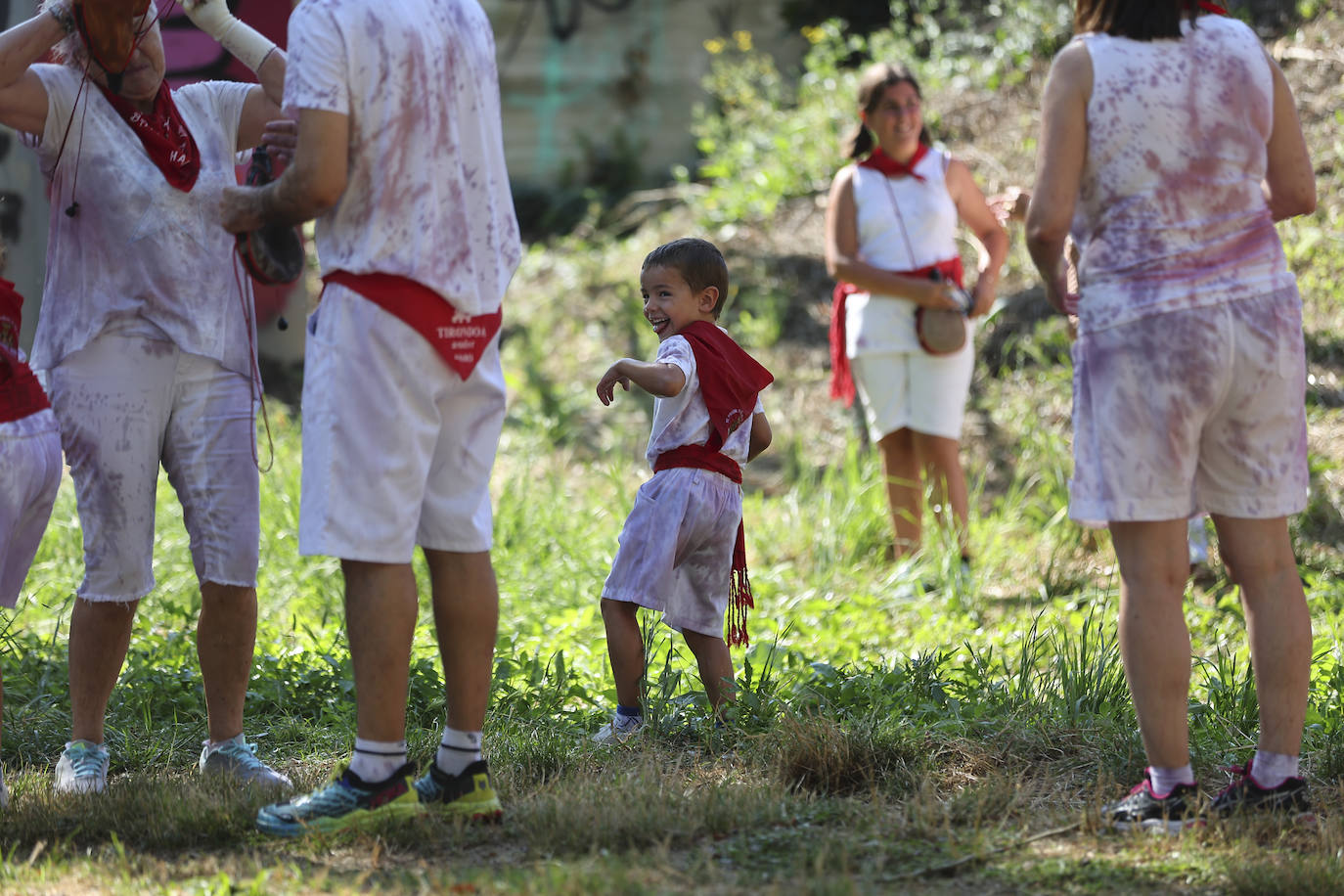 Las imágenes de la Batalla del Vino Infantil de Haro