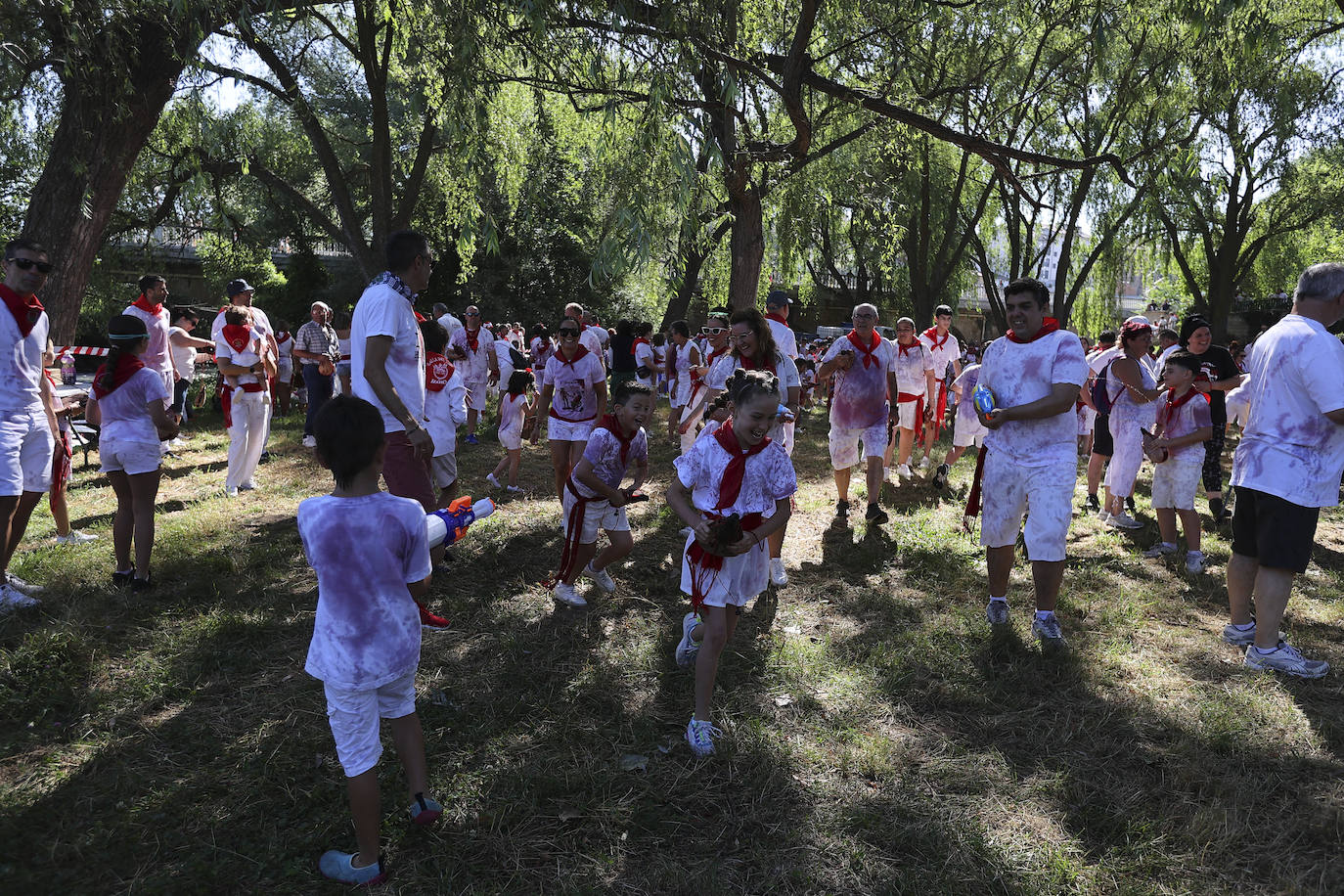 Las imágenes de la Batalla del Vino Infantil de Haro