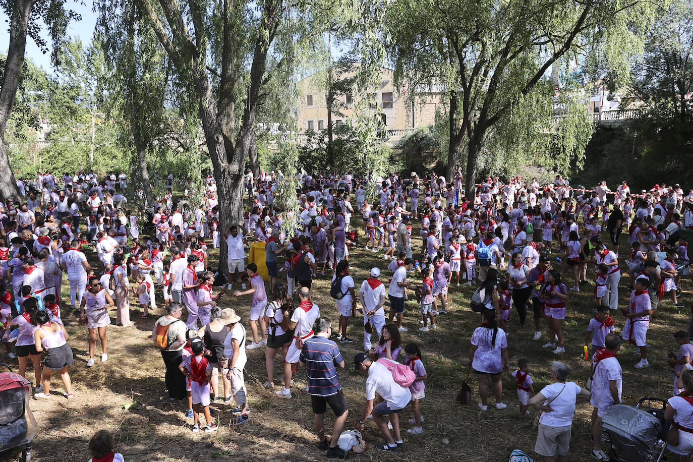 Las imágenes de la Batalla del Vino Infantil de Haro