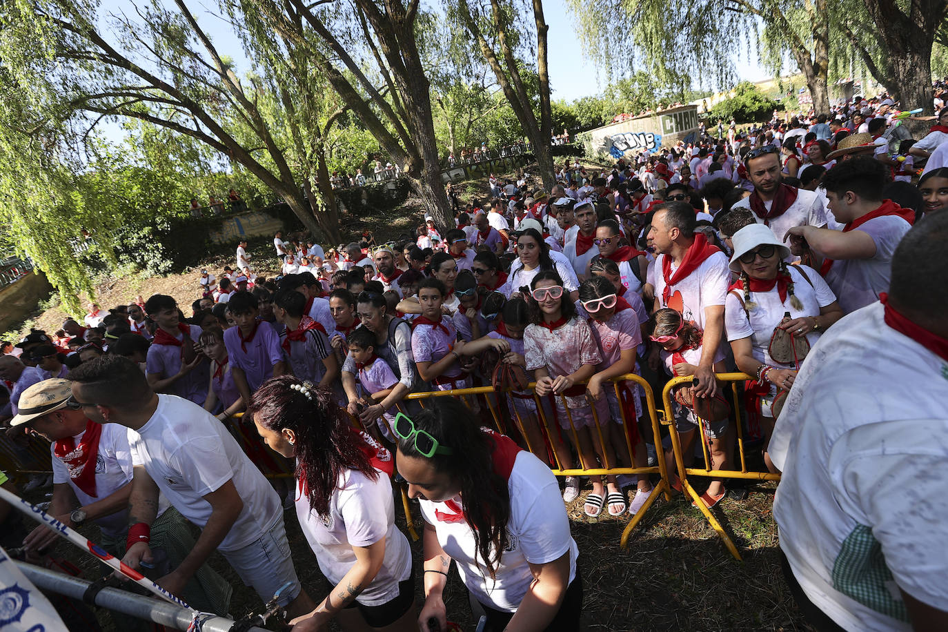 Las imágenes de la Batalla del Vino Infantil de Haro