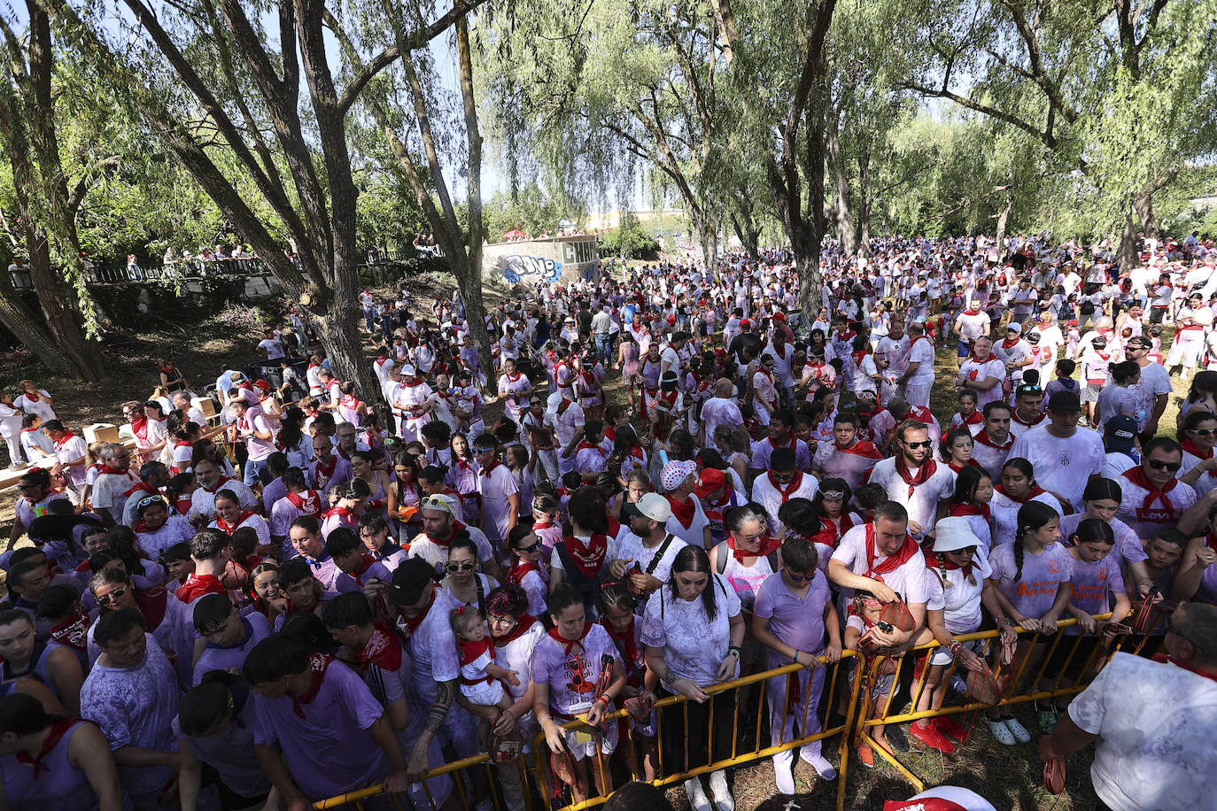 Las imágenes de la Batalla del Vino Infantil de Haro
