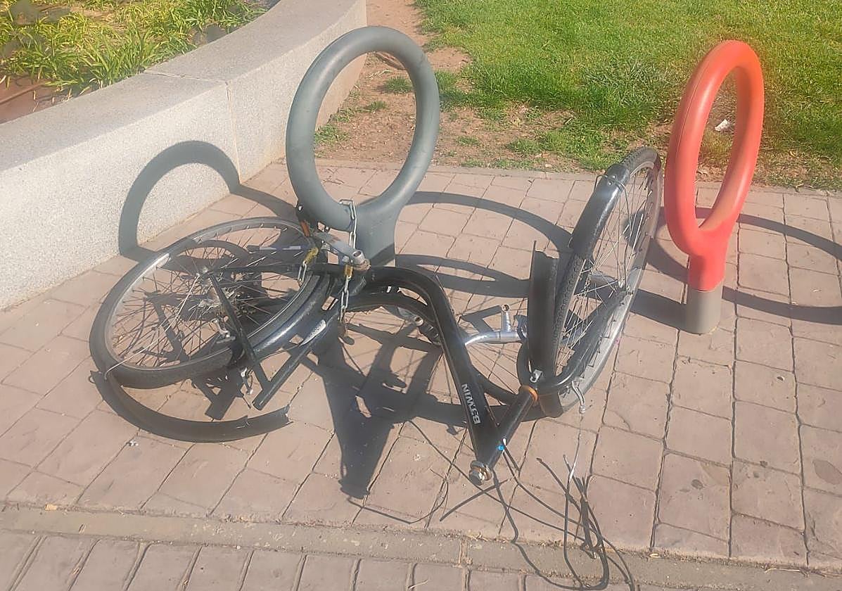 El servicio de taxis y la demora sanitaria: el Teléfono del Lector de hoy