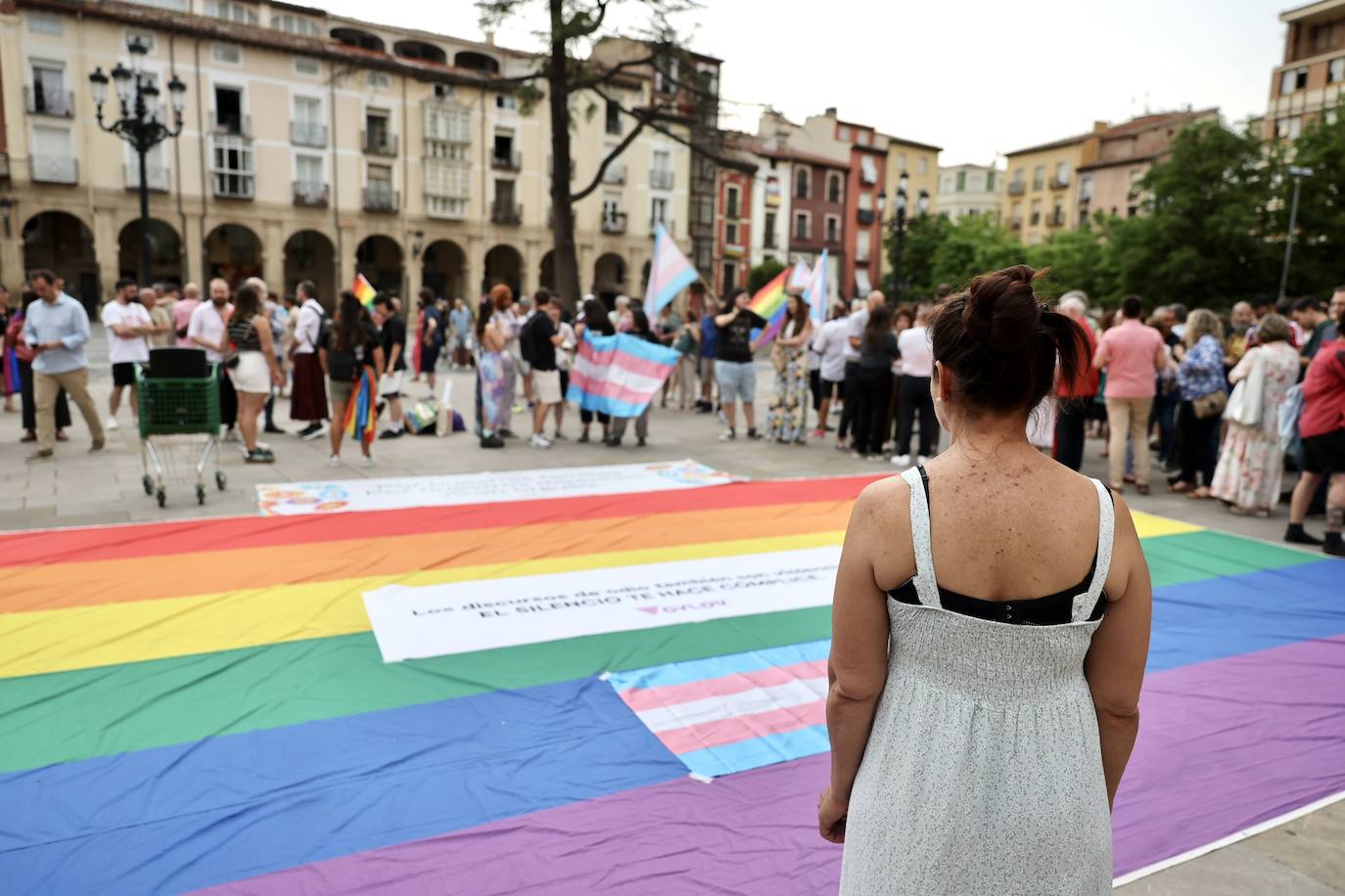 Las imágenes de la concentración contra el odio y la violencia en Logroño