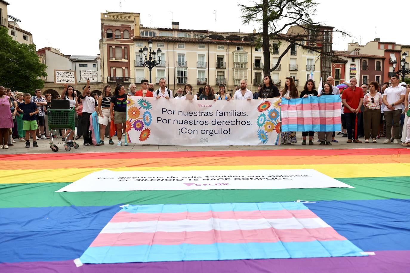 Las imágenes de la concentración contra el odio y la violencia en Logroño