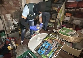 Las imágenes de la operación antidroga en Alcanadre