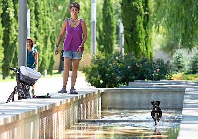 Un perro juega en un estanque de agua de Logroño.