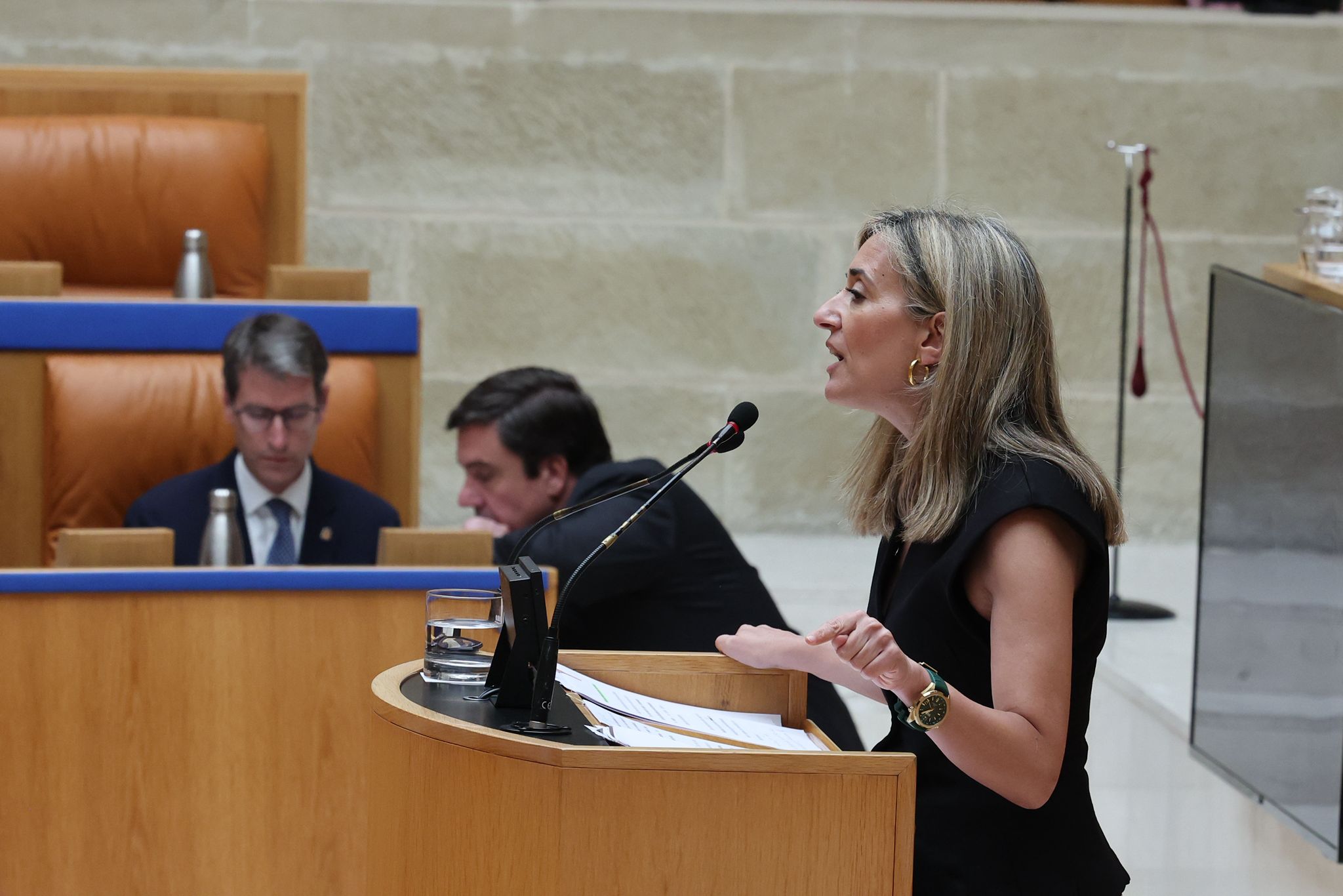 Cristina Maiso, durante su intervención en el Parlamento.