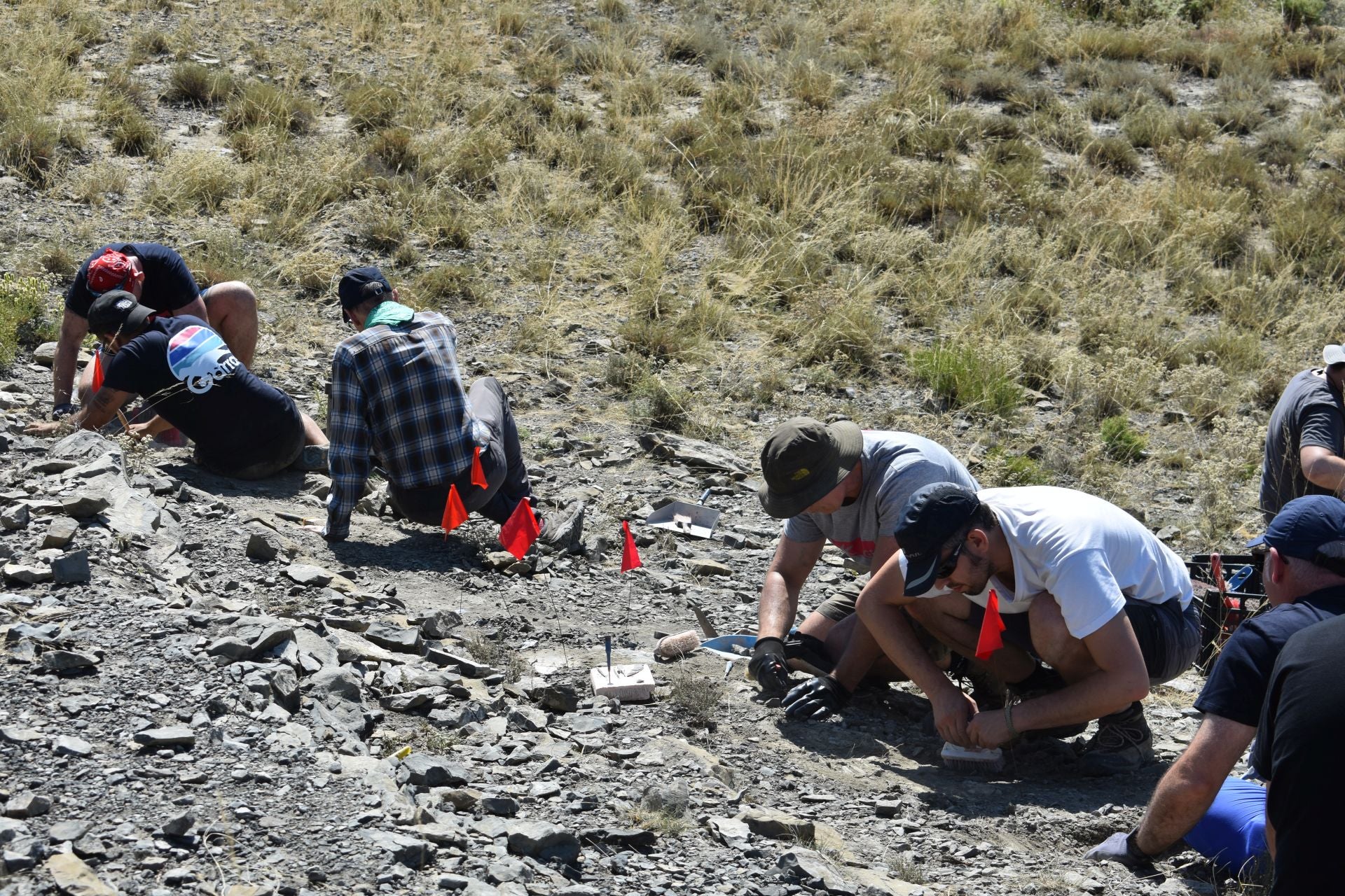 Imágenes de la excavación de Las Cerradas de Igea