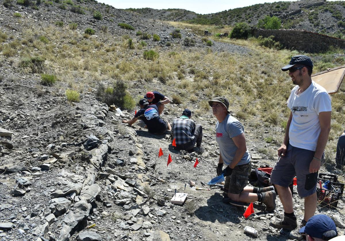 Imágenes de la excavación de Las Cerradas de Igea