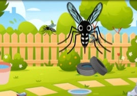 El mosquito tigre se asienta en La Rioja