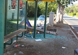 El cristal roto de la marquesina del autobús durante la noche del sábado al domingo.