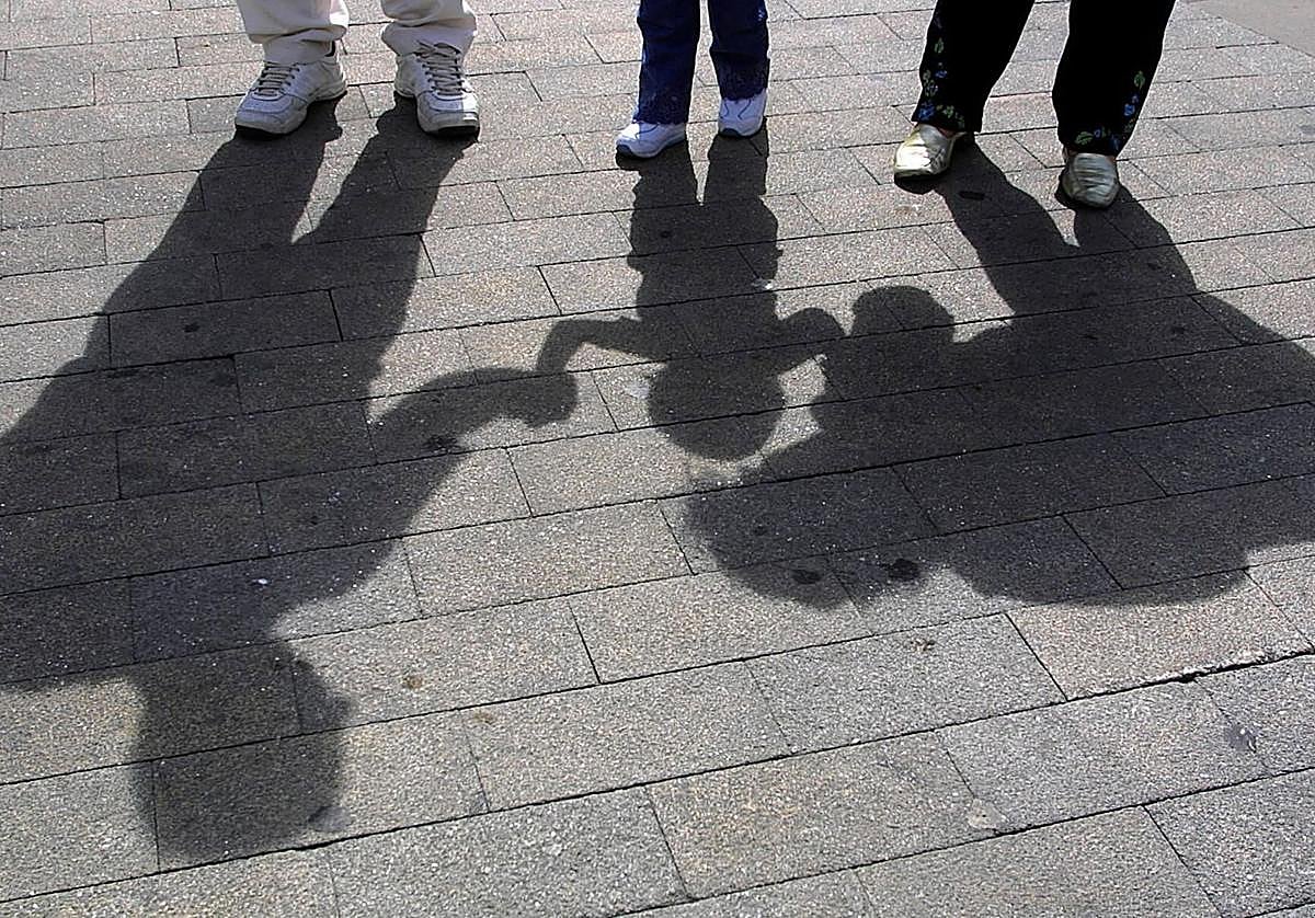 Las adopciones se reducen a mínimos en La Rioja, con un solo caso este año