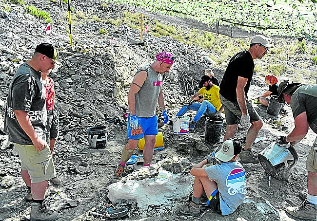 Una roca con huesos es protegida con escayola antes de su traslado a Igea.