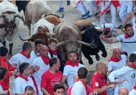Un momento del encierro con los toros de Álvaro Núñez.