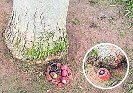 Objetos junto a los árboles en la avenida de Moncalvillo, hoy en La Guindilla.