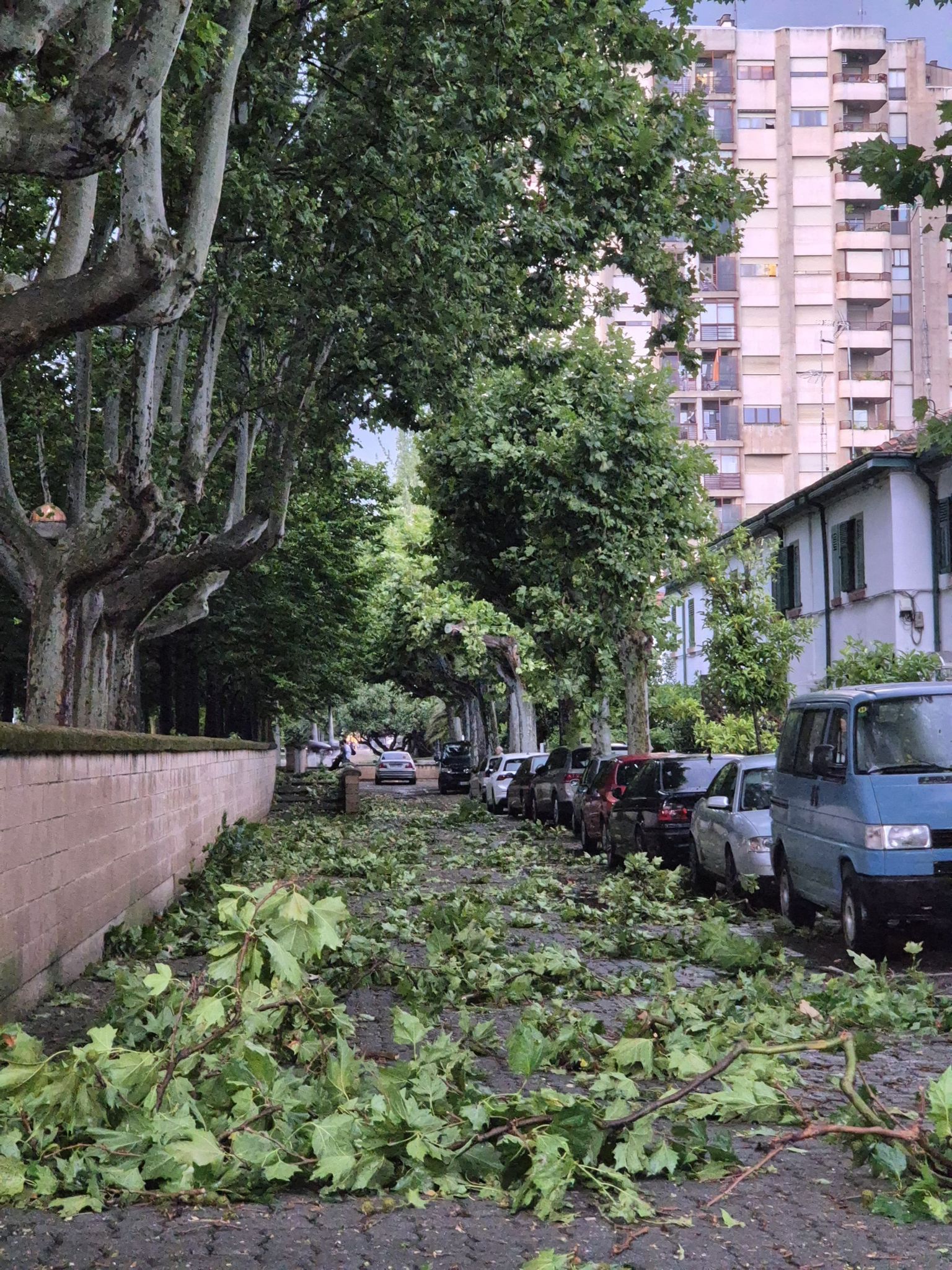 Las imágenes de la fuerte tormenta caída en Logroño