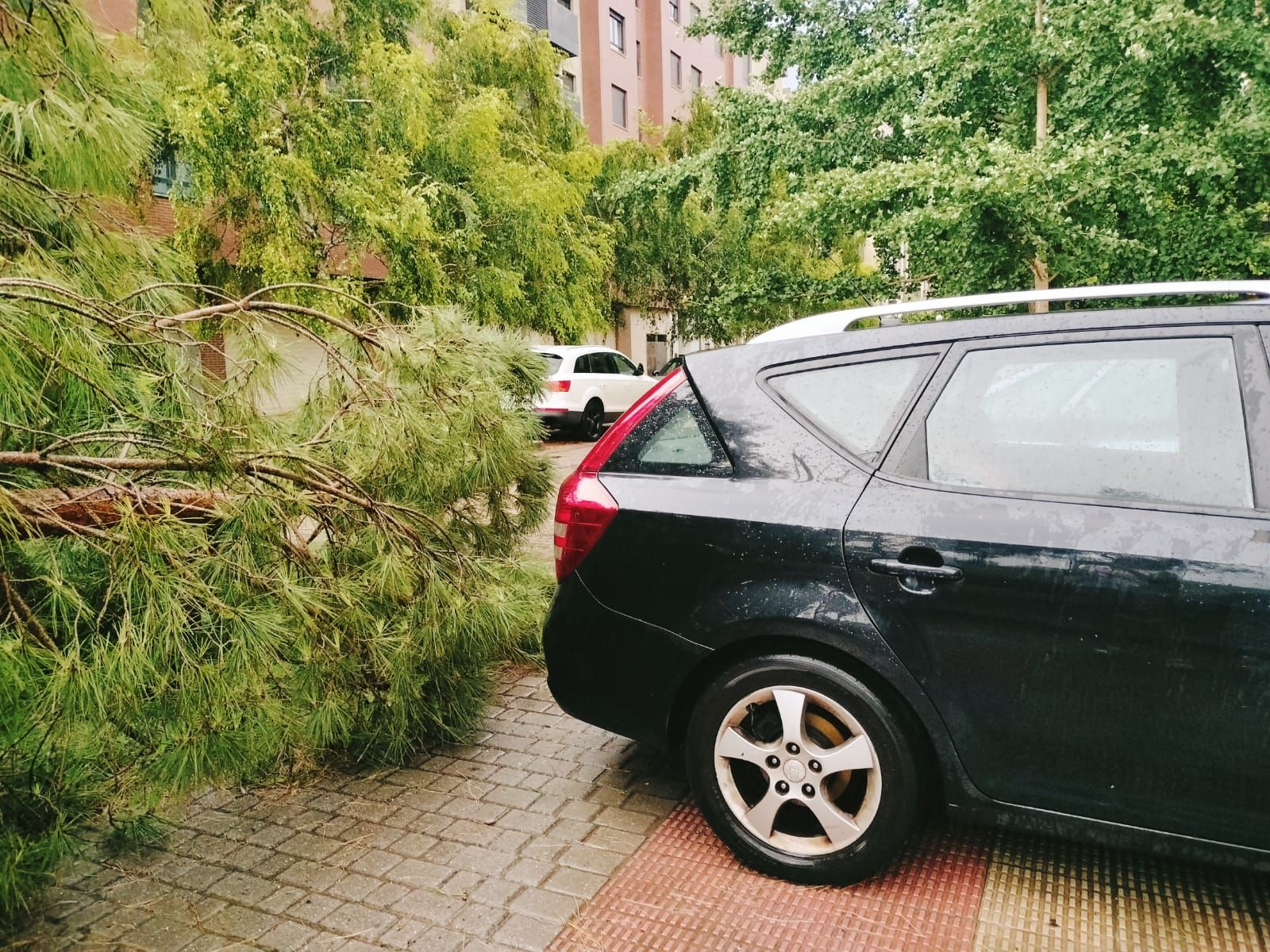 Las imágenes de la fuerte tormenta caída en Logroño