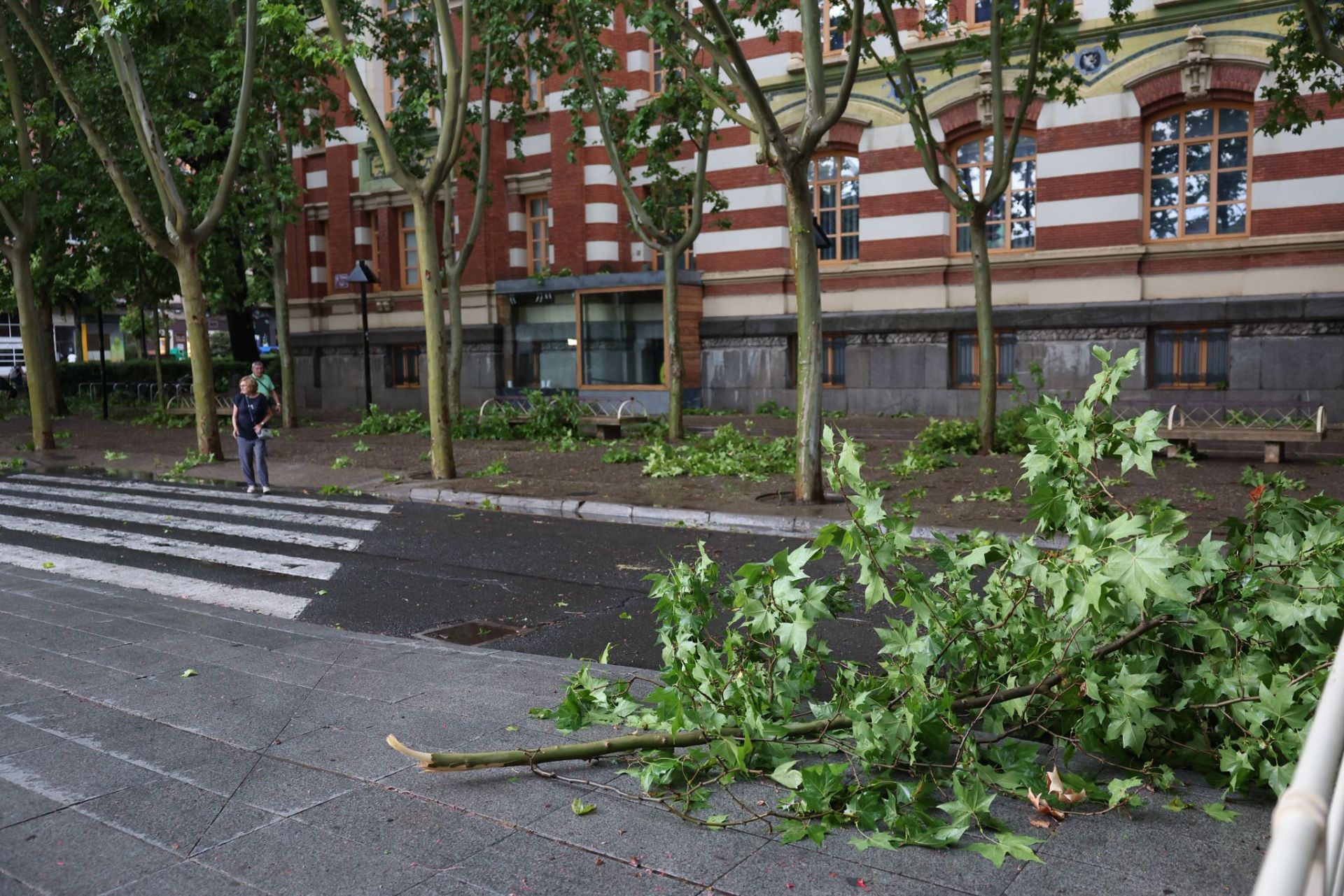 Las imágenes de la fuerte tormenta caída en Logroño