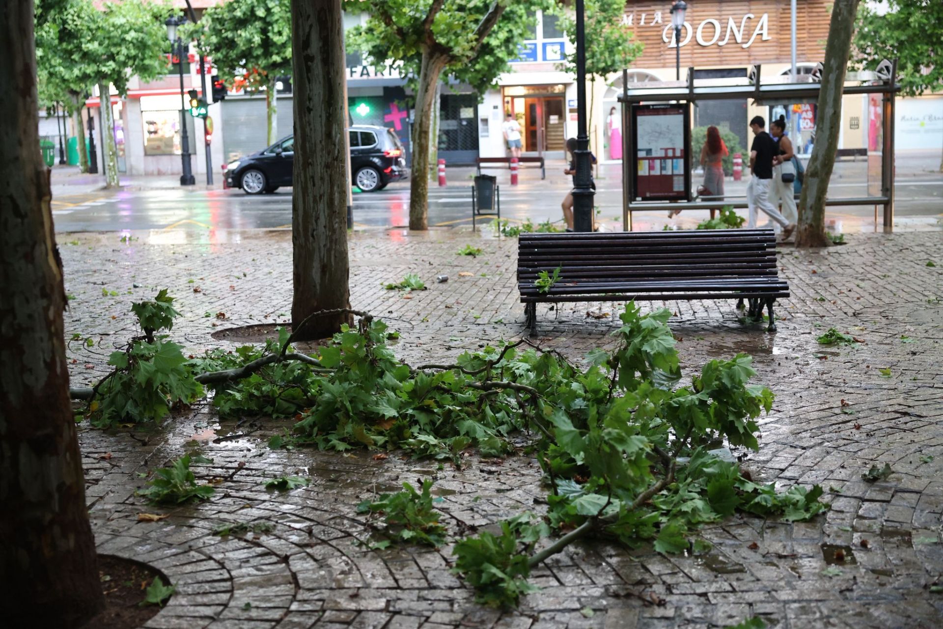 Las imágenes de la fuerte tormenta caída en Logroño