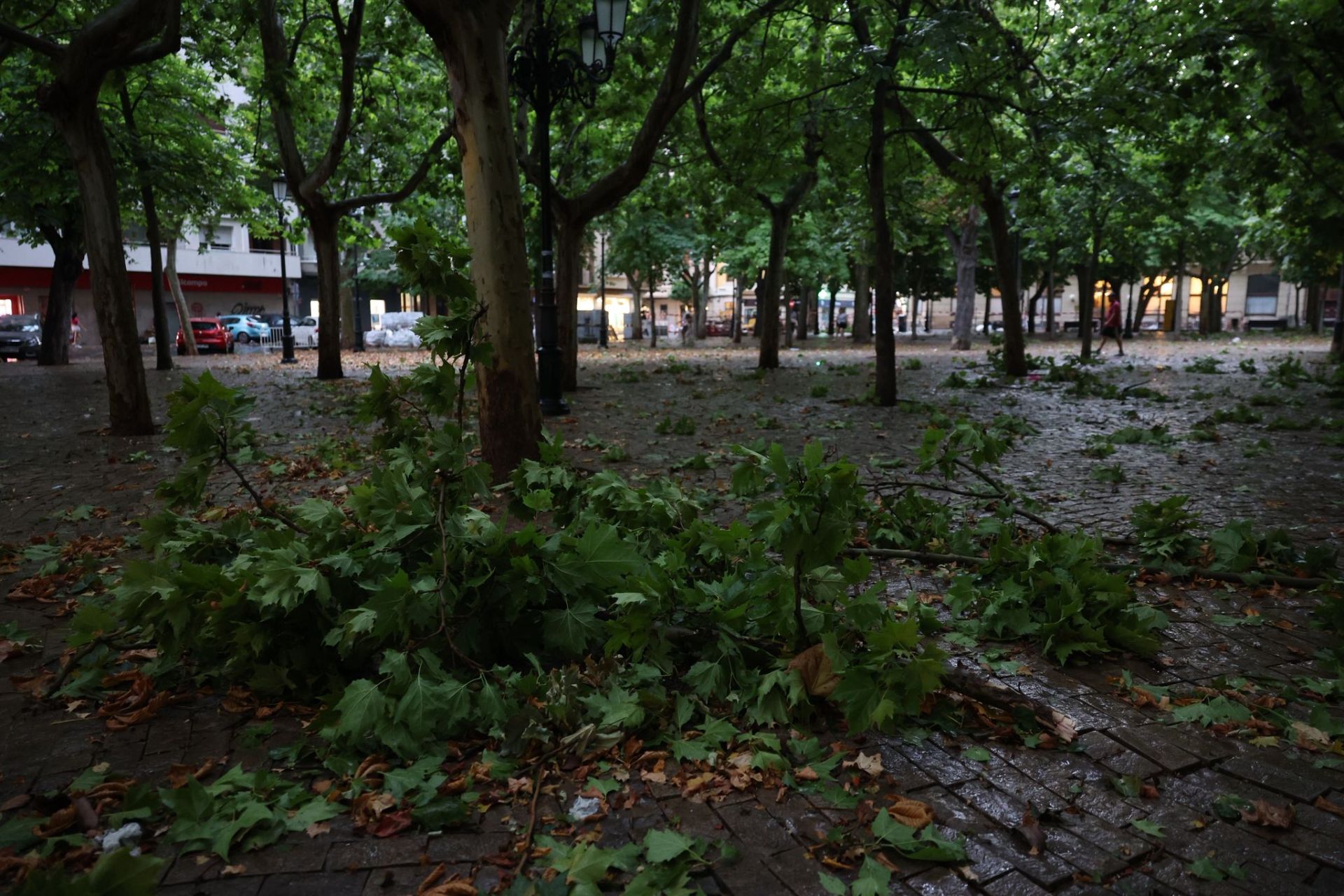Las imágenes de la fuerte tormenta caída en Logroño