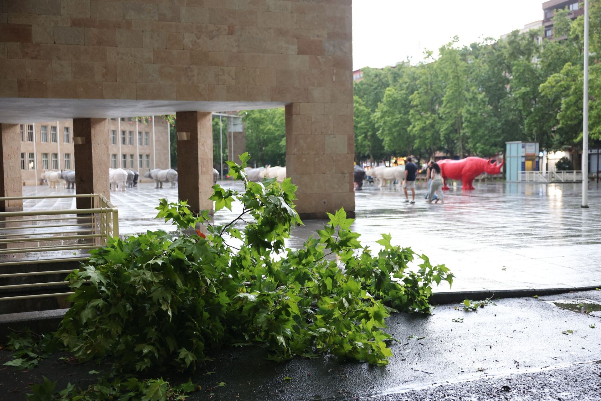 Las imágenes de la fuerte tormenta caída en Logroño
