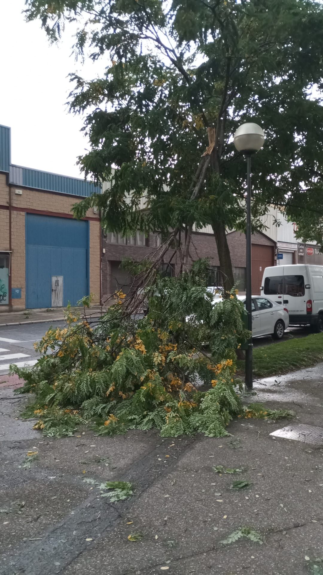 Las imágenes de la fuerte tormenta caída en Logroño