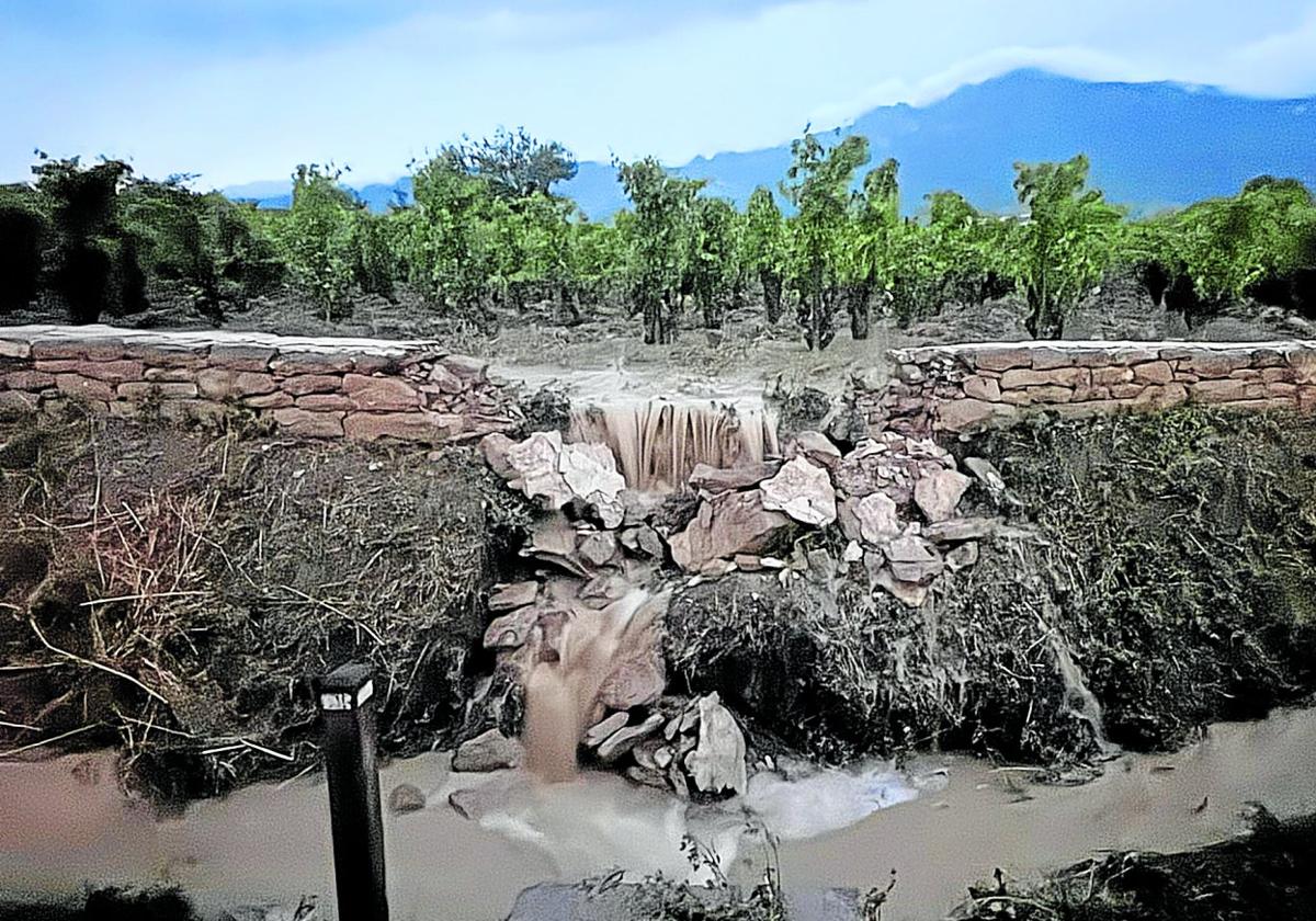 La tormenta del viernes se llevó por delante el muro de piedra de este precioso viñedo de Laguardia.