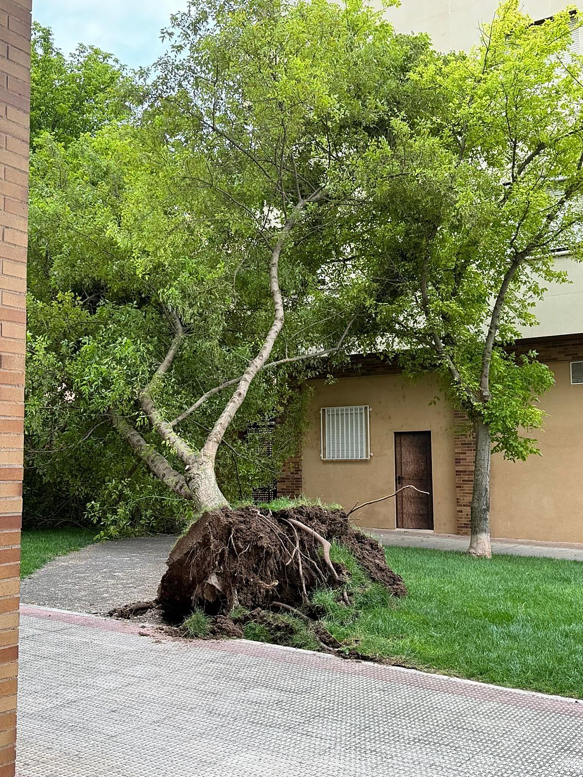 Las imágenes de la fuerte tormenta caída en Logroño