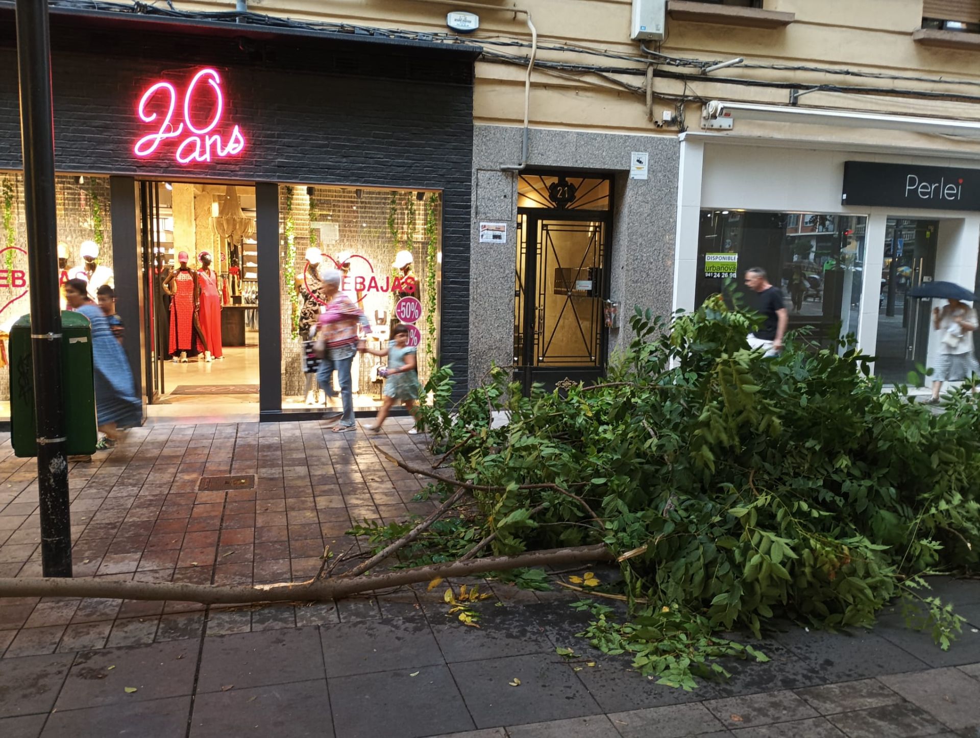 Un pequeño árbol también se cayó en Juan XXIII