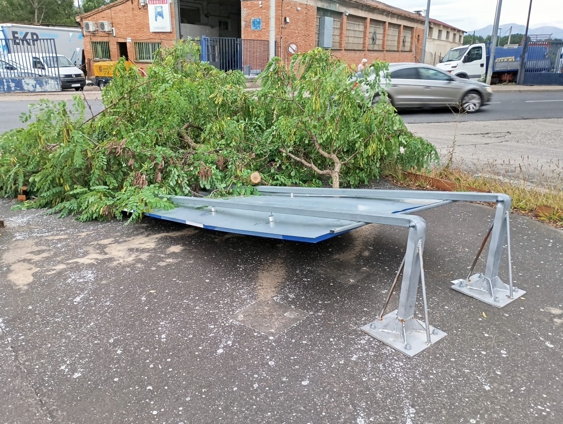 Bastantes daños en la masa arbórea de Varea, que tuvo que cerrar algunas calles