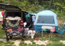 Lucca, la perra de la etóloga Celia Alesanco, en el camping donde disfruta de las vacaciones en familia.