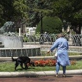 Una mujer pasea con su perro por El Espolón.