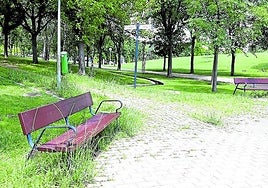 Hierbas demasiado altas en el parque San Miguel, hoy en La Guindilla.