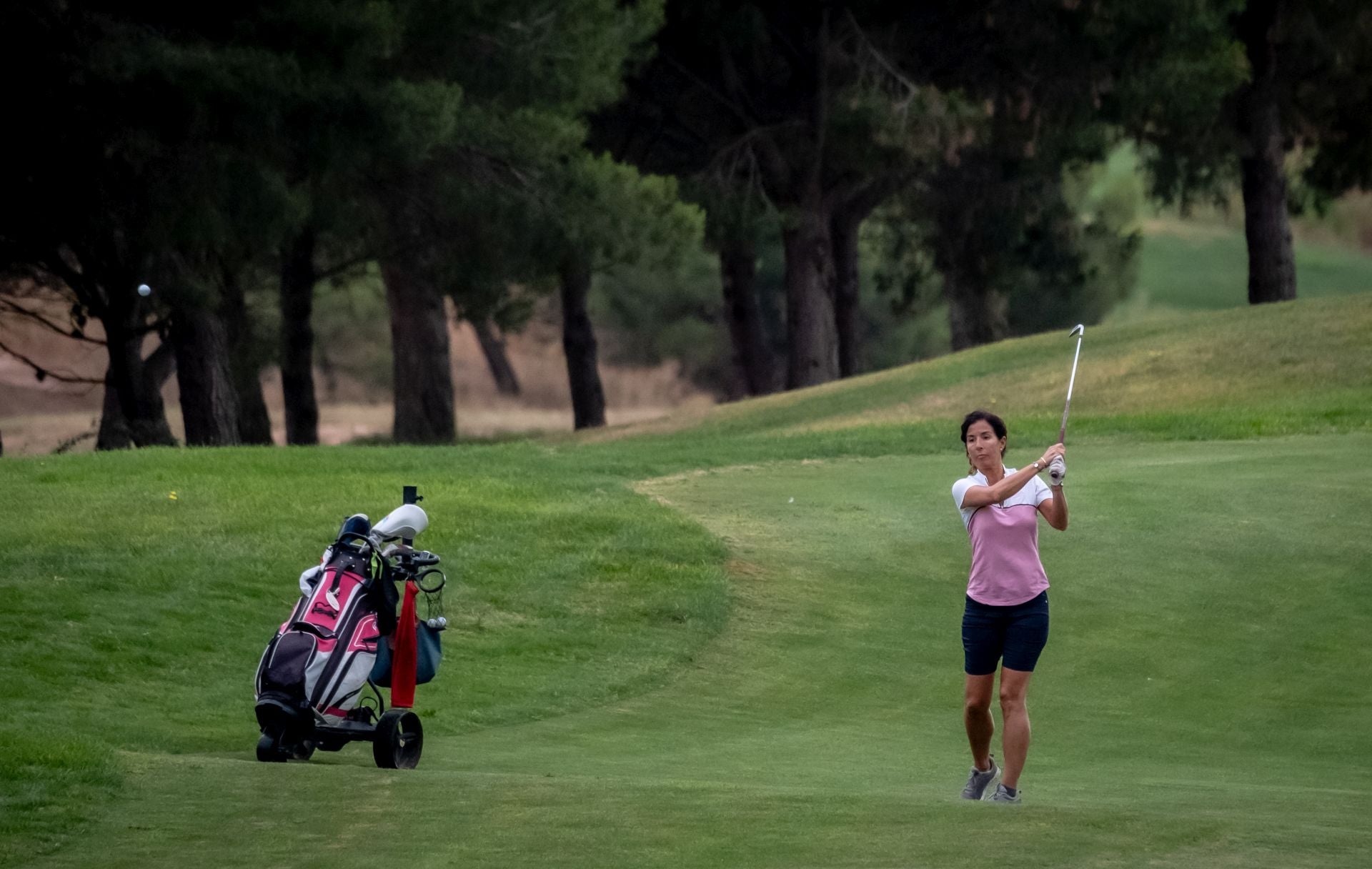 El Torneo Finca Valpiedra, en imágenes