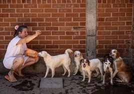 Merche, voluntaria de Animales Rioja, posa con algunos de los perros que custodia la entidad.
