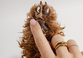 Leticia Ruiz aplica la crema de Masco Beauty sobre las almohadillas de una de las patas de su perro.