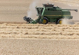 La puntilla para sectores como el del cereal, que ya sufre por su baja rentabilidad