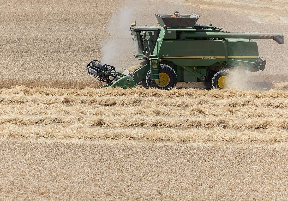La puntilla para sectores como el del cereal, que ya sufre por su baja rentabilidad