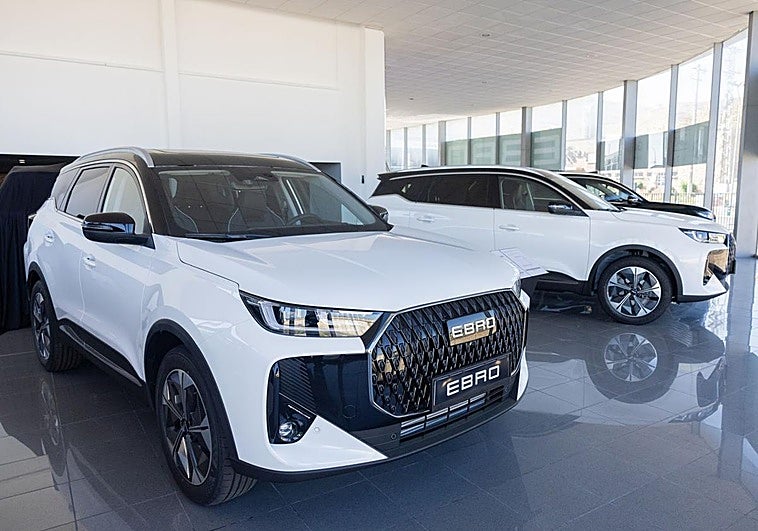 Vehículos en un concesionario de Logroño.