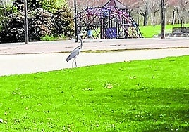 Espacio Peñas y sanidad, los temas de hoy en el teléfono del Lector