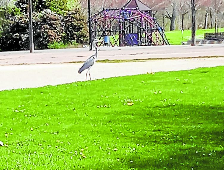 Espacio Peñas y sanidad, los temas de hoy en el teléfono del Lector