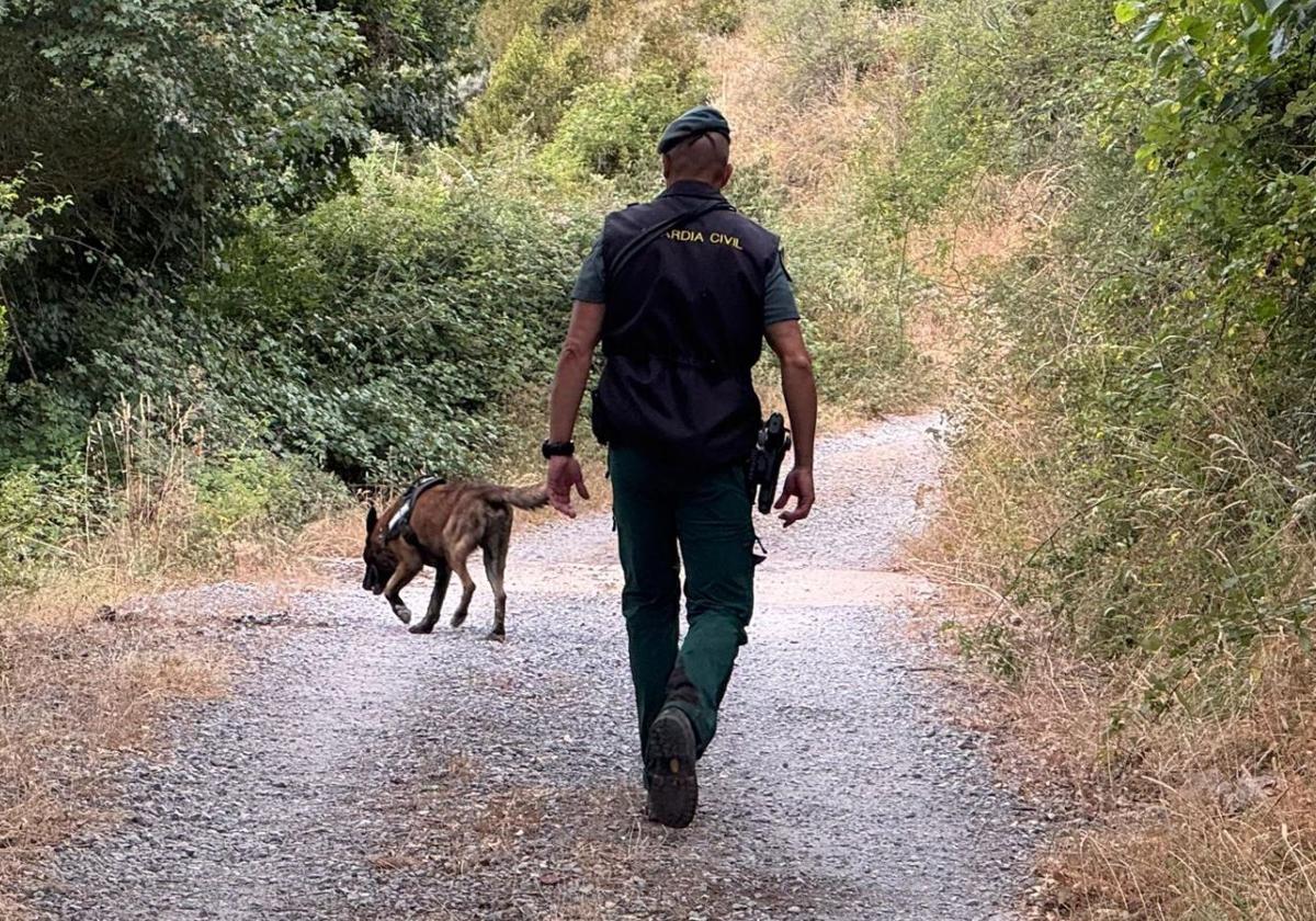 Un agente de la Guardia Civil con un perro de búsqueda en Nieva de Cameros.
