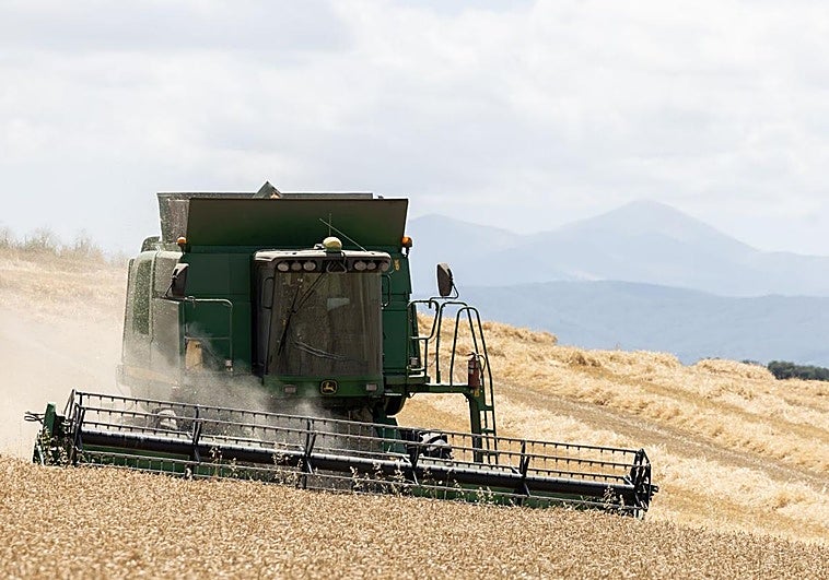 La IA en el control de plagas permitirá ahorrar el 80% del tiempo en el campo