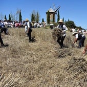 Demostración de la siega en la fiesta de la Molienda de Ocón en 2024.