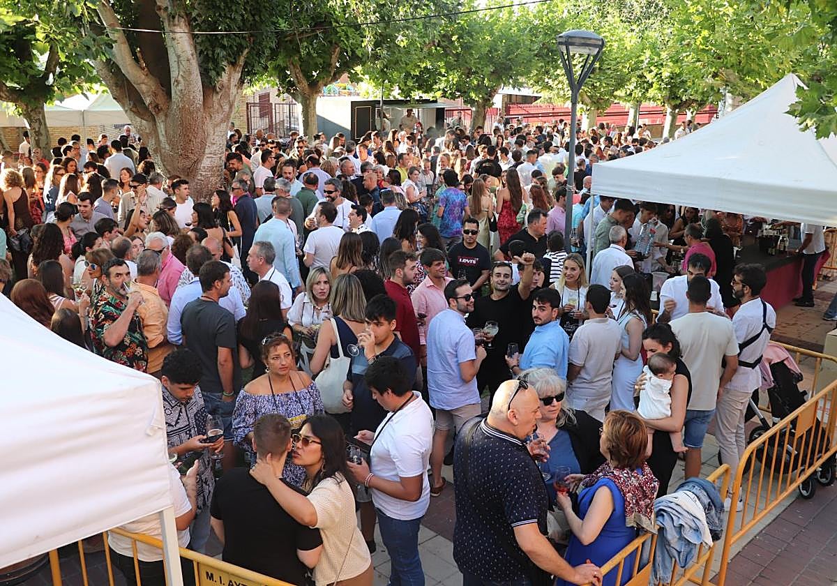 Cientos de personas disfrutaron de los brindis con los caldos de las seis bodegas alfareñas y de la música.