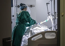 Una sanitaria, con el equipo de protección, atiende a un paciente en el San Pedro.