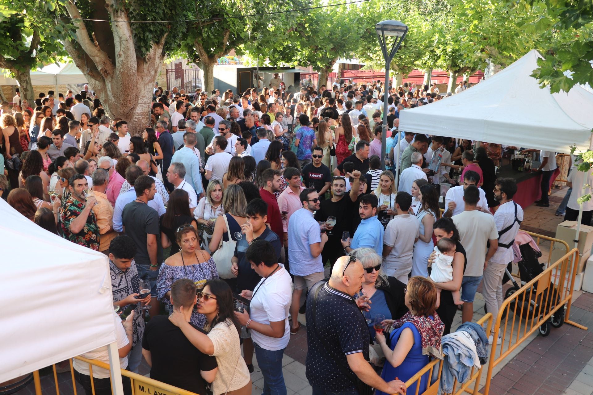 Décimo cuarta edición del Bodegas en la Calle en Alfaro