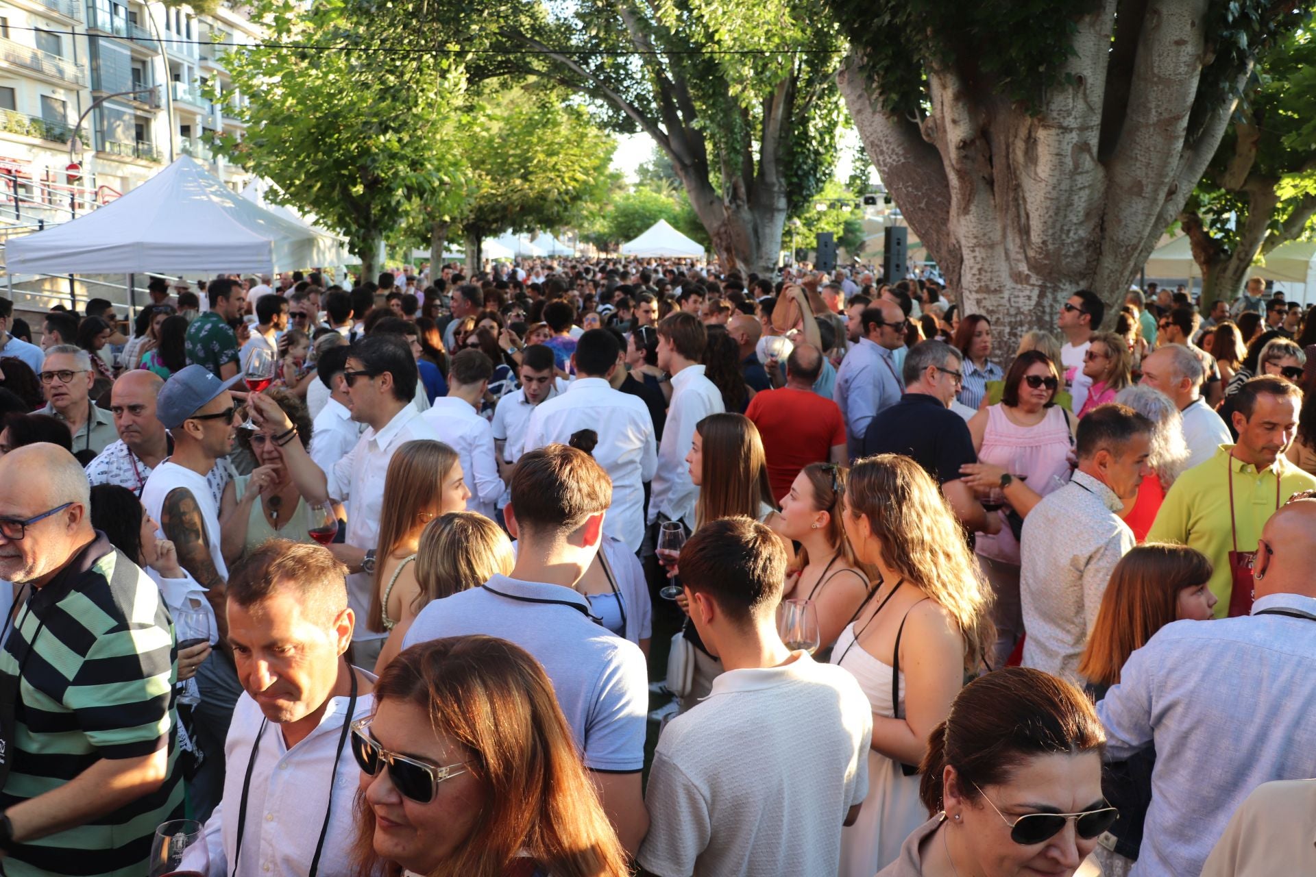 Décimo cuarta edición del Bodegas en la Calle en Alfaro